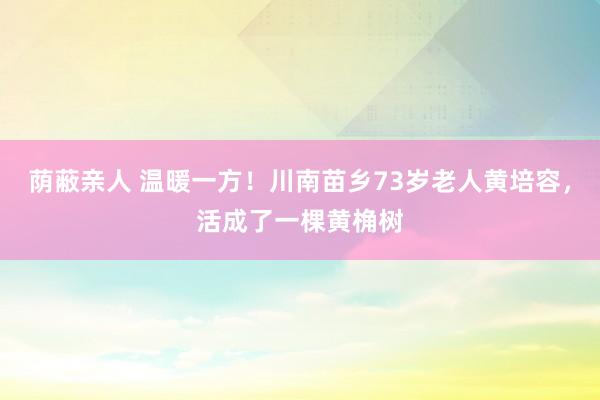 荫蔽亲人 温暖一方！川南苗乡73岁老人黄培容，活成了一棵黄桷树