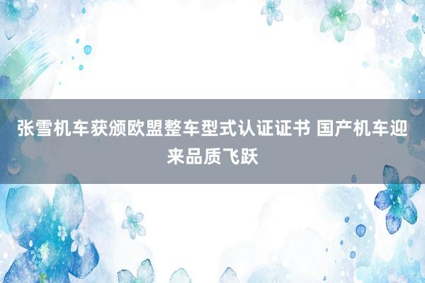 张雪机车获颁欧盟整车型式认证证书 国产机车迎来品质飞跃