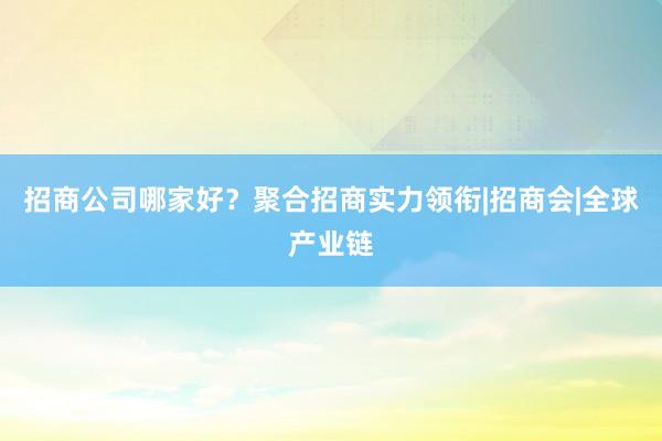 招商公司哪家好？聚合招商实力领衔|招商会|全球产业链