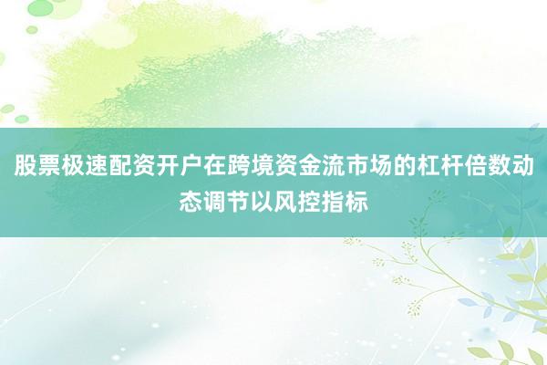股票极速配资开户在跨境资金流市场的杠杆倍数动态调节以风控指标