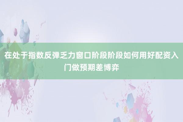 在处于指数反弹乏力窗口阶段阶段如何用好配资入门做预期差博弈