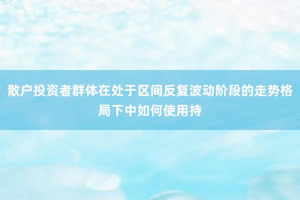 散户投资者群体在处于区间反复波动阶段的走势格局下中如何使用持